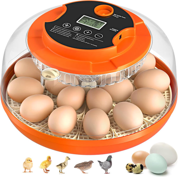 Onsju 18 Egg Incubator with Automatic Egg Turning and Humidity Control, Incubators for Hatching Eggs, Chicken, Ducks, Goose, Pigeon, Quail, Parrot Incubator for Farm, Lab, Science Classroom, Home (Orange)