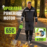 DARKIRON Leaf Blower Cordless,2 x 5.2 Ah Batteries & Charger, Up to 650CFM/280MPH, 3 Variable Speed, Powerful Leaf Blower for Blowing Leaves, Lawn Care, Dust and Snow (Green)