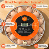 Onsju 18 Egg Incubators for Hatching Eggs, Automatic Egg Turning and Humidity Control Incubator for Hatch Chicken Duck Quail Pigeon Pheasant Partridge Home Classroom Lab-