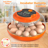 Onsju 18 Egg Incubator with Automatic Egg Turning and Humidity Control, Incubators for Hatching Eggs, Chicken, Ducks, Goose, Pigeon, Quail, Parrot Incubator for Farm, Lab, Science Classroom, Home (Orange)