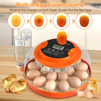 Onsju 18 Egg Incubator with Automatic Egg Turning and Humidity Control, Incubators for Hatching Eggs, Chicken, Ducks, Goose, Pigeon, Quail, Parrot Incubator for Farm, Lab, Science Classroom, Home (Orange)