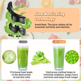 DARKIRON Cold Press Juicer, Masticating Juicer with 5.4" Large Feed Chute, 400W Slow Juicer Machines Fit Whole Vegetables and Fruits,Juicer Machine with High Juice Yield (Black)