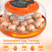 Onsju 18 Egg Incubator with Automatic Egg Turning and Humidity Control, Incubators for Hatching Eggs, Chicken, Ducks, Goose, Pigeon, Quail, Parrot Incubator for Farm, Lab, Science Classroom, Home (Orange)