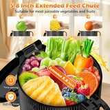 YPONE Juicer Machines with 5.8" Large Feed Chute, Cold Press Juicer For Whole Vegetables and Fruits, 400W Professional Slow Masticating juicer Easy to Clean for Batch Juicing (Titanium Gray)