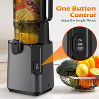 YPONE Juicer Machines with 5.8" Large Feed Chute, Cold Press Juicer For Whole Vegetables and Fruits, 400W Professional Slow Masticating juicer Easy to Clean for Batch Juicing (Titanium Gray)