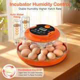 Onsju 18 Egg Incubators for Hatching Eggs, Automatic Egg Turning and Humidity Control Incubator for Hatch Chicken Duck Quail Pigeon Pheasant Partridge Home Classroom Lab-