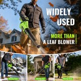DARKIRON Leaf Blower Cordless,2 x 5.2 Ah Batteries & Charger, Up to 650CFM/280MPH, 3 Variable Speed, Powerful Leaf Blower for Blowing Leaves, Lawn Care, Dust and Snow (Green)